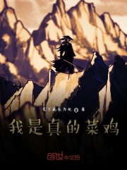 我是真的菜鸡在线阅读