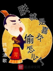 朕就是喜欢偷怎么了在线阅读