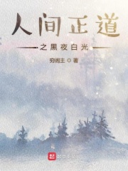 人间正道之黑夜白光