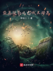 盗墓疑影之龙城王母墓