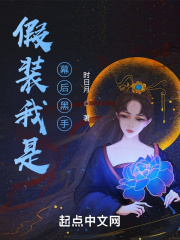 假装我是幕后黑手在线阅读