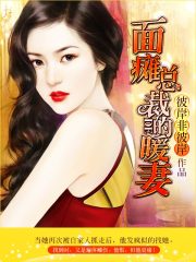 面瘫总裁的暖妻