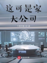 这可是家大公司在线阅读