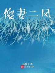 傻妻二凤