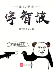 弹丸里的宇智波在线阅读