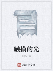 触摸的光在线阅读