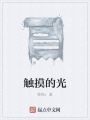 触摸的光在线阅读