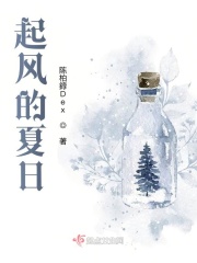 起风的夏日