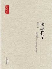 骆驼祥子（现当代长篇小说典藏插图本）