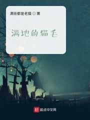 满地的猫毛在线阅读