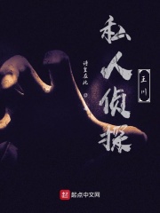 私人侦探王川