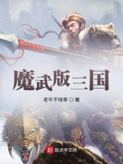 魔武版三国在线阅读