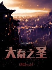 大秦之圣在线阅读