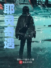 耶灵奇遇在线阅读