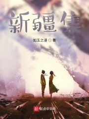 新疆集在线阅读