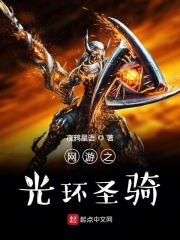 网游之光环圣骑在线阅读