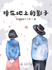 掉在地上的影子