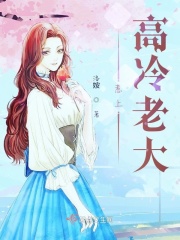 惹上高冷老大在线阅读
