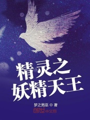 精灵之妖精天王在线阅读