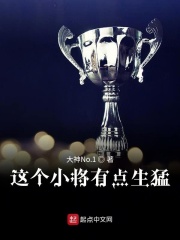 这个小将有点生猛在线阅读