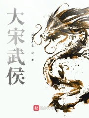 大宋武侯在线阅读