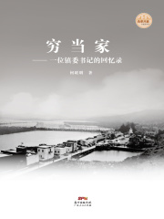 穷当家：镇委书记的回忆