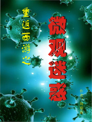 重返西游之微观迷惑