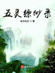 五灵缥缈录