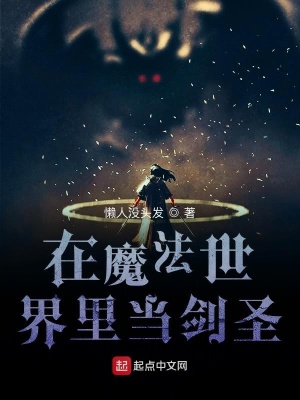 在魔法世界里当剑圣 懒人没头发著 史诗奇幻小说 在魔法世界里当剑圣无弹窗 起点中文网