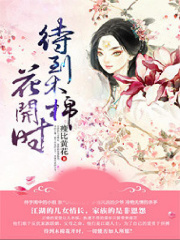 待到木棉花开时