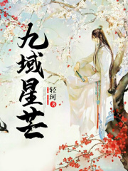 九域星芒