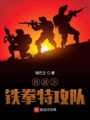 抗战之铁拳特攻队在线阅读