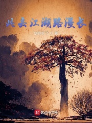 此去江湖路漫长在线阅读