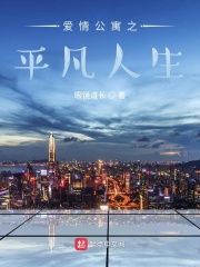 爱情公寓之平凡人生在线阅读