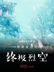 神奇宝贝之终极烈空在线阅读
