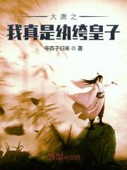 大唐之我真是纨绔皇子在线阅读