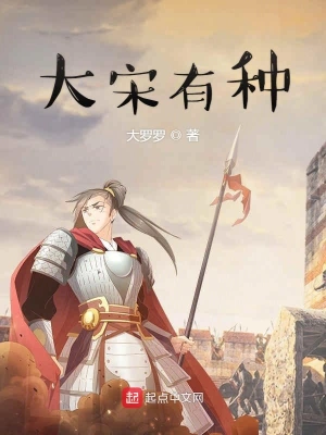 《大宋有种》（校对全本）作者：大罗罗【TXT】
