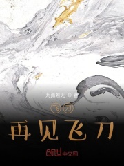 飞刀再见飞刀