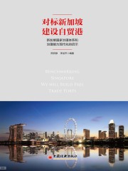 对标新加坡 建设自贸港