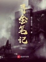 寻金笔记在线阅读