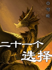 二十一个选择