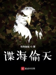 谍海偷天在线阅读