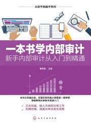一本书学内部审计：新手内部审计从入门到精通