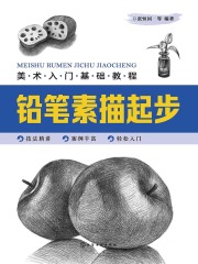 美术入门基础教程：铅笔素描起步