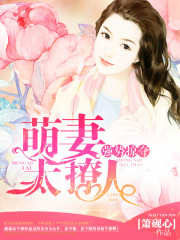 总裁追妻很上心