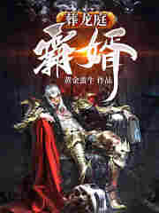 葬龙庭-霸婿