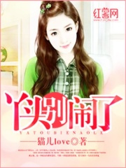 丫头别闹了在线阅读