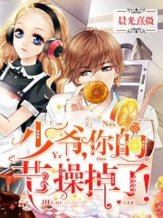 少爷，你的节操掉了！在线阅读