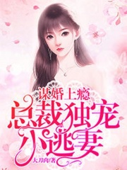 谋爱上瘾：总裁独宠小逃妻