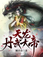 天龙丹武大帝在线阅读